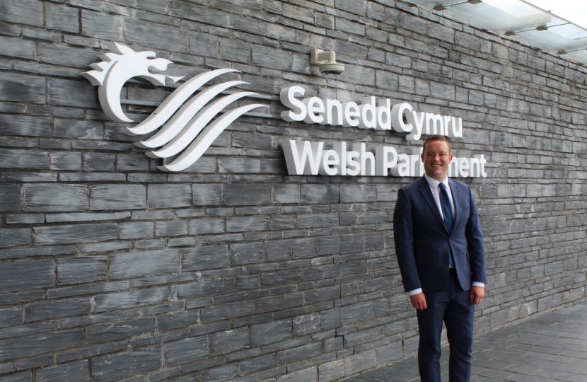 Gareth Davies MS at the Senedd, Cardiff